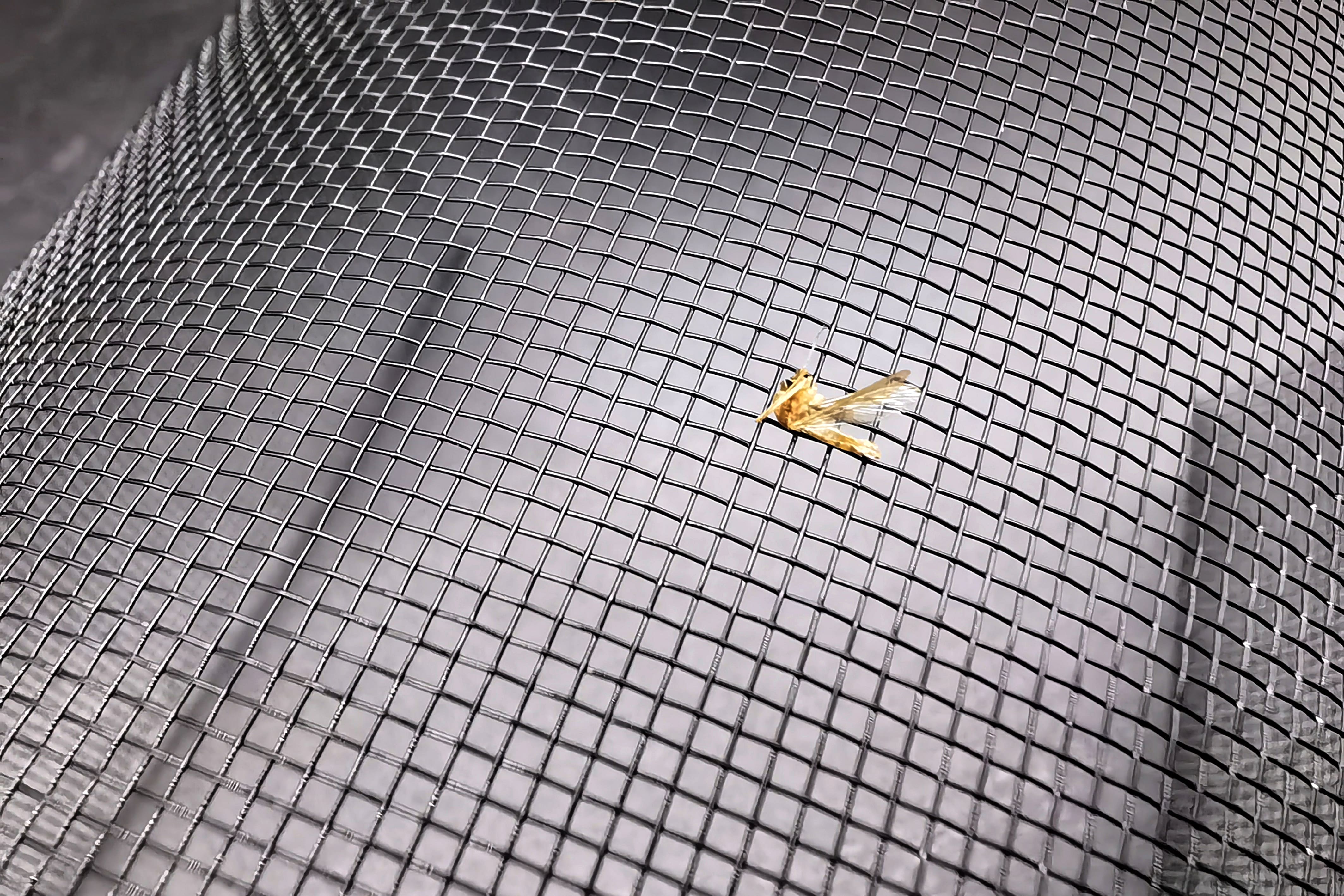 卷簾專用紗網